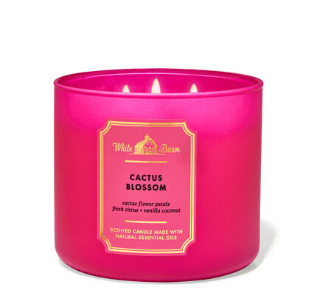 WHITE BARN 3 WICK CANDLE ‘CACTUS BLOSSOM’