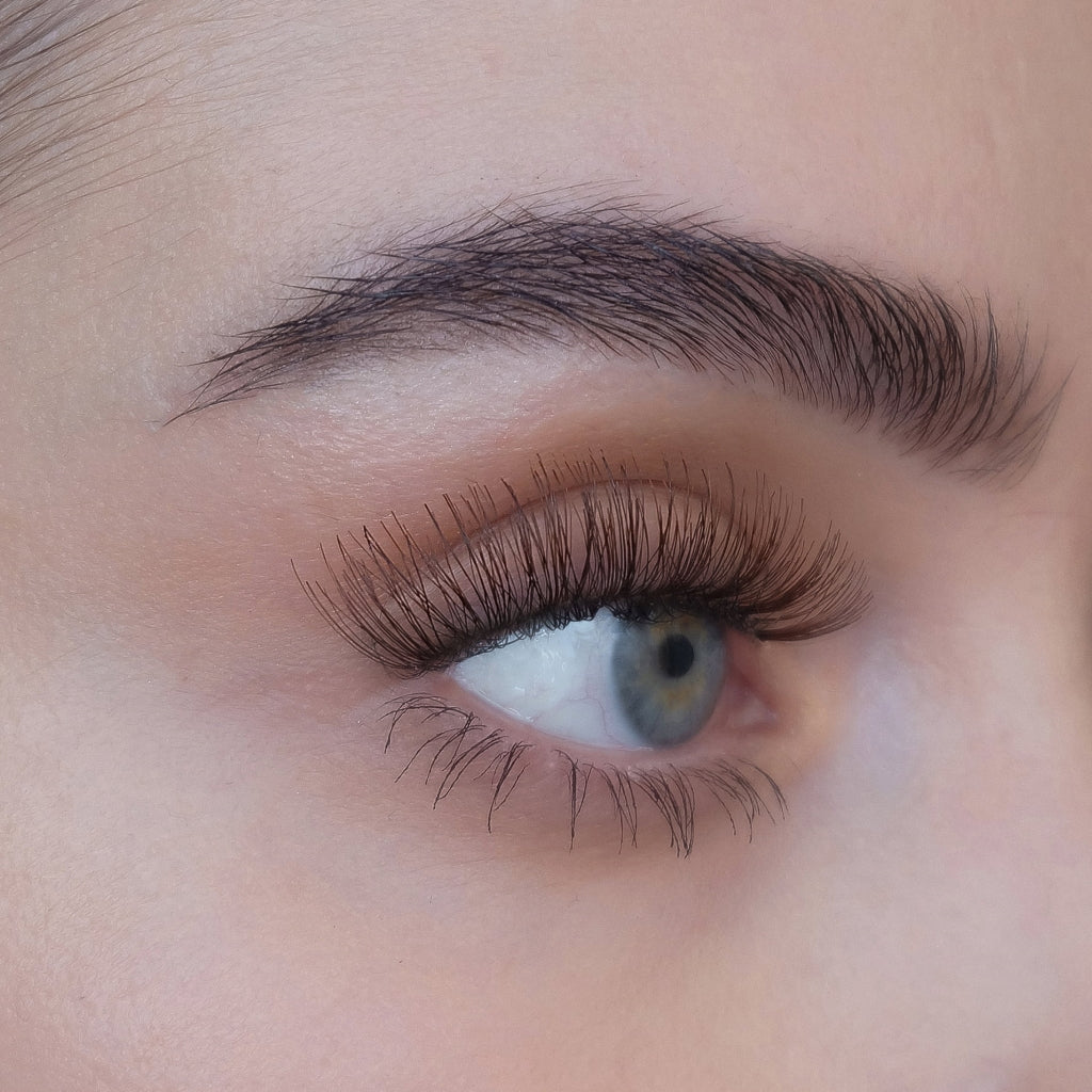 LASHES