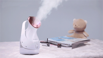 FACIAL STEAMERS