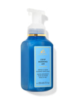 BATH & BODY WORKS  - CRISP MORNING AIR FOAMING HAND SOAP