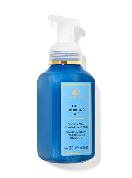 BATH & BODY WORKS  - CRISP MORNING AIR FOAMING HAND SOAP