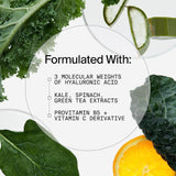 YOUTH TO THE PEOPLE SUPERFOOD AIR-WHIP MOISTURE CREAM